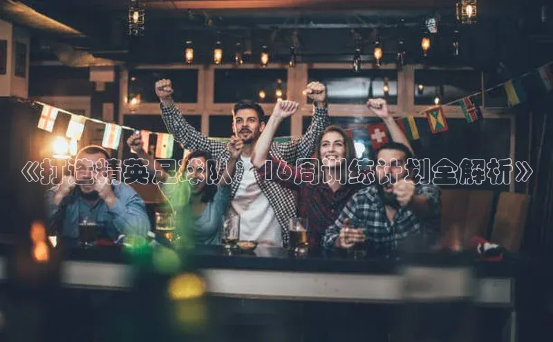 人人体育下载安装百度翻译App《打造精英足球队：16周训练计划全解析》