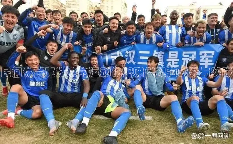 民间体育竞技中的运动伤害赔偿规范研究与实践