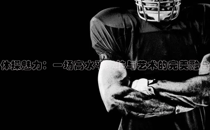 体操魅力：一场高水平竞技与艺术的完美融合