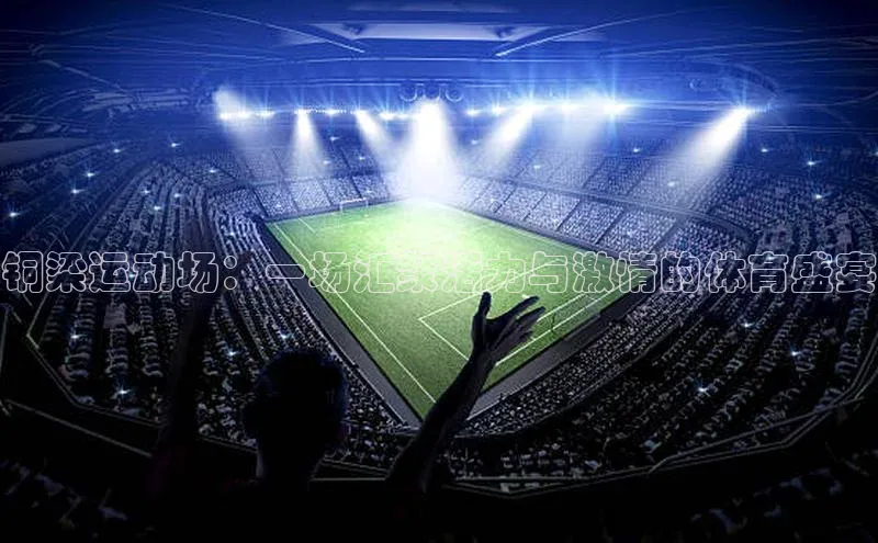 人人体育下载安装