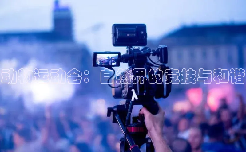 人人体育app直播下载