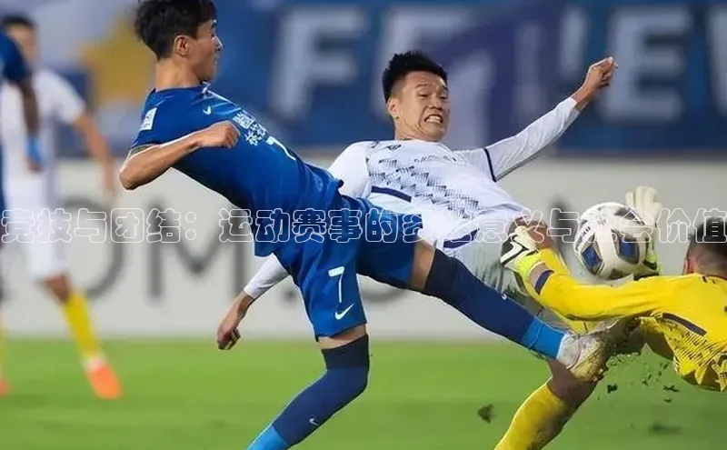 人人体育官方正版下载安装