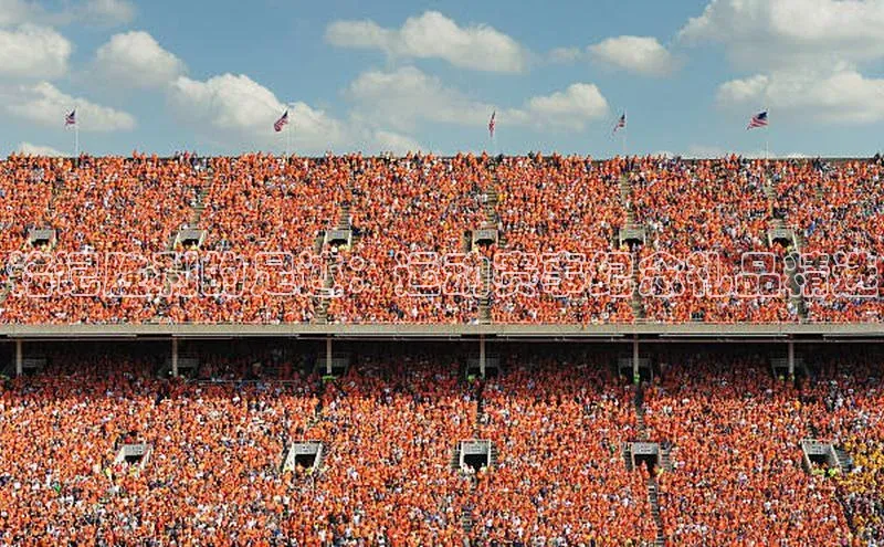 人人体育app安卓版