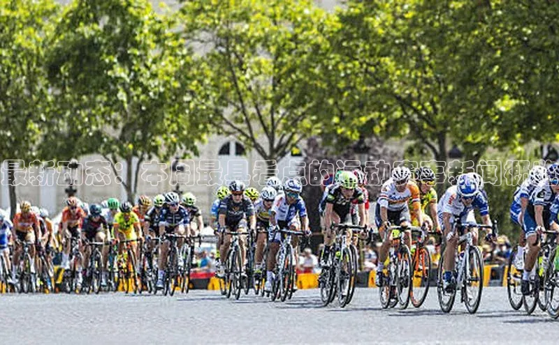 人人体育app官方版