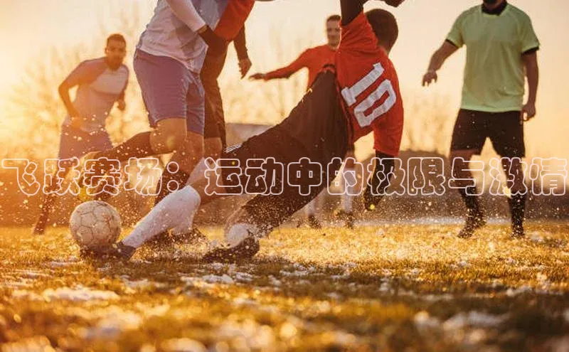 人人体育正版app下载