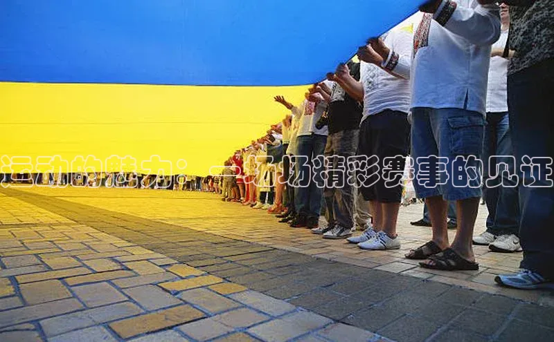 运动的魅力：一场场精彩赛事的见证